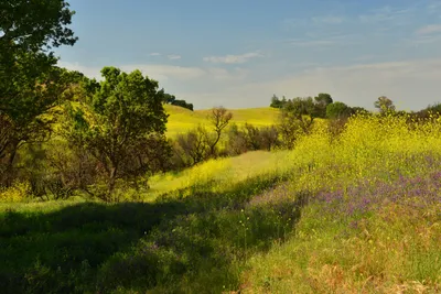 DSC_6458 (Large).JPG